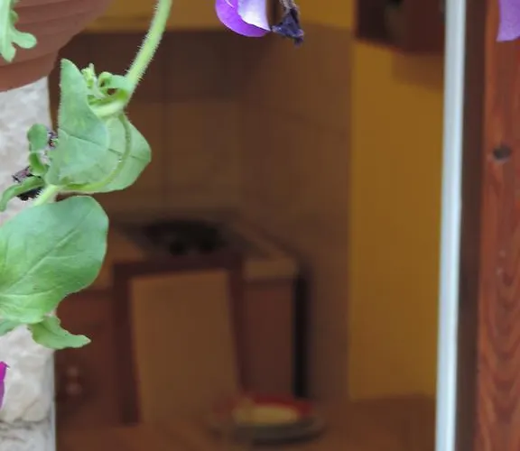 Апартаменты 